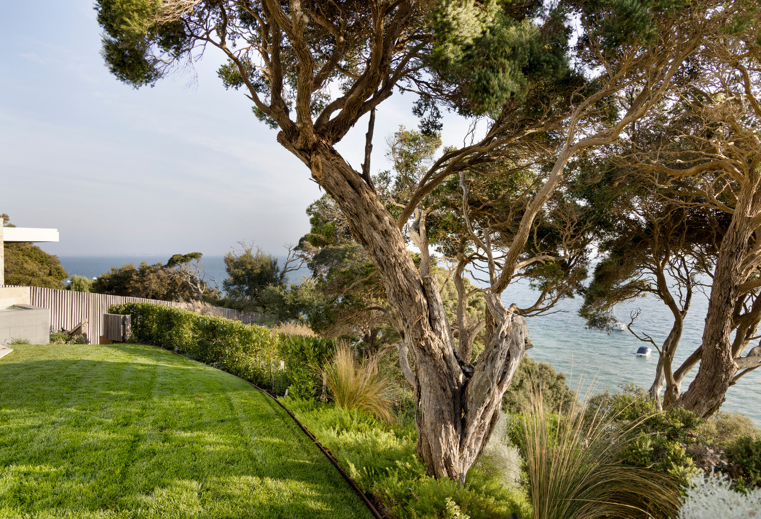 Coastal Feature Trees