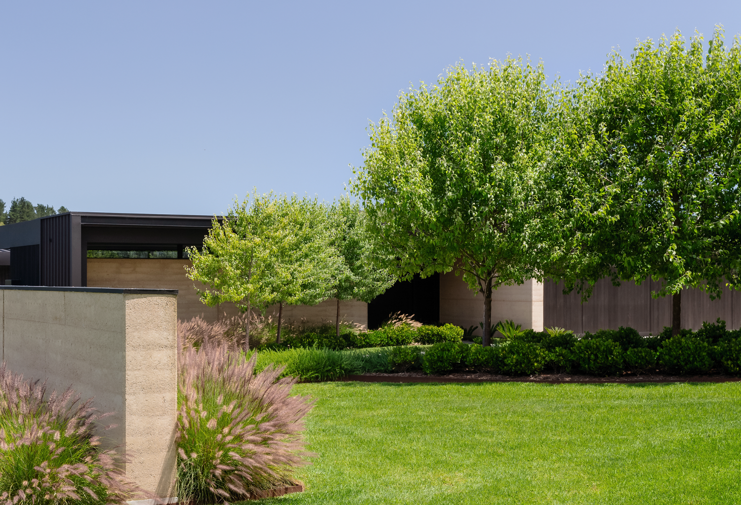 Rounded & Spreading Canopy Trees