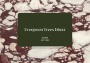 Evergreen Trees Direct Gift Card - Evergreen Trees Direct