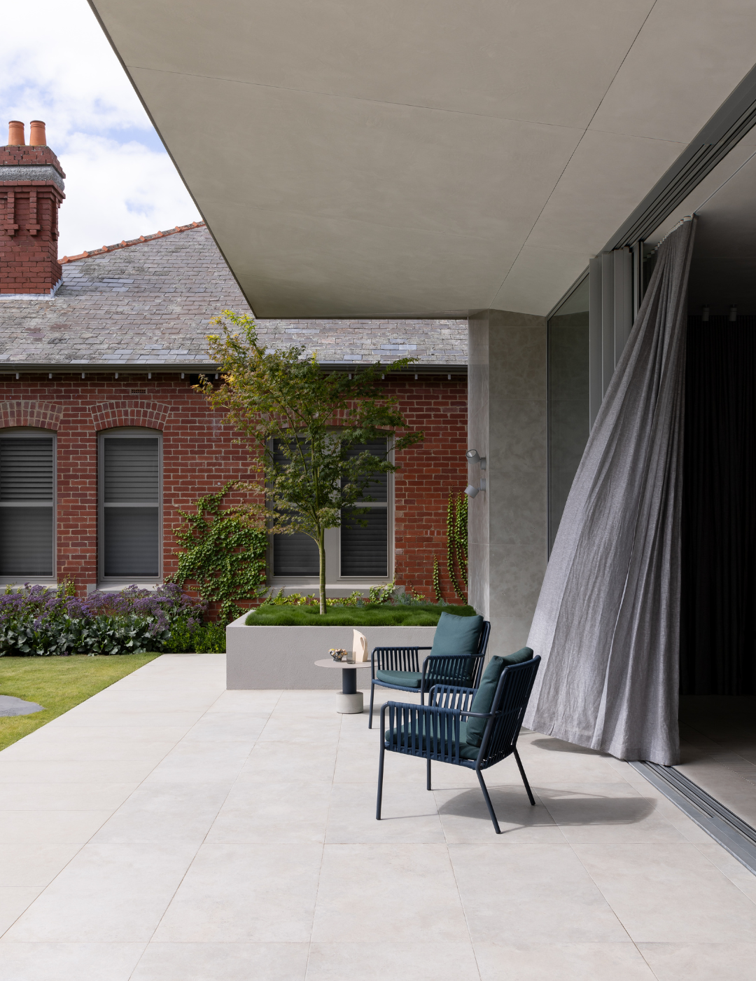 Acer palmatum - Japanese Maple - Evergreen Trees Direct