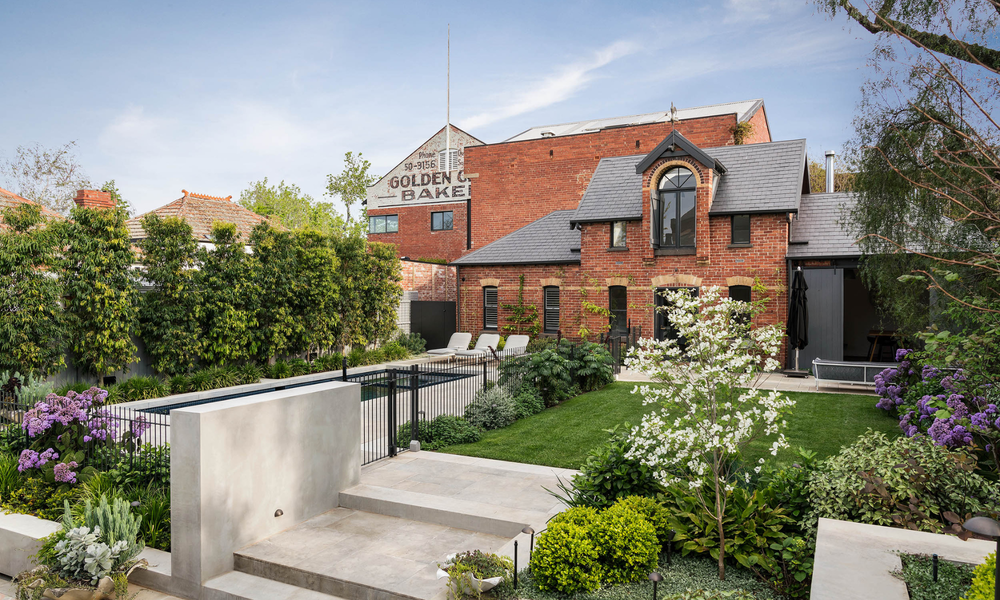 Evergreen Trees Direct