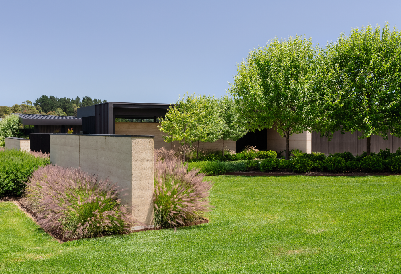 The Best Feature Trees for Small Areas - Evergreen Trees Direct
