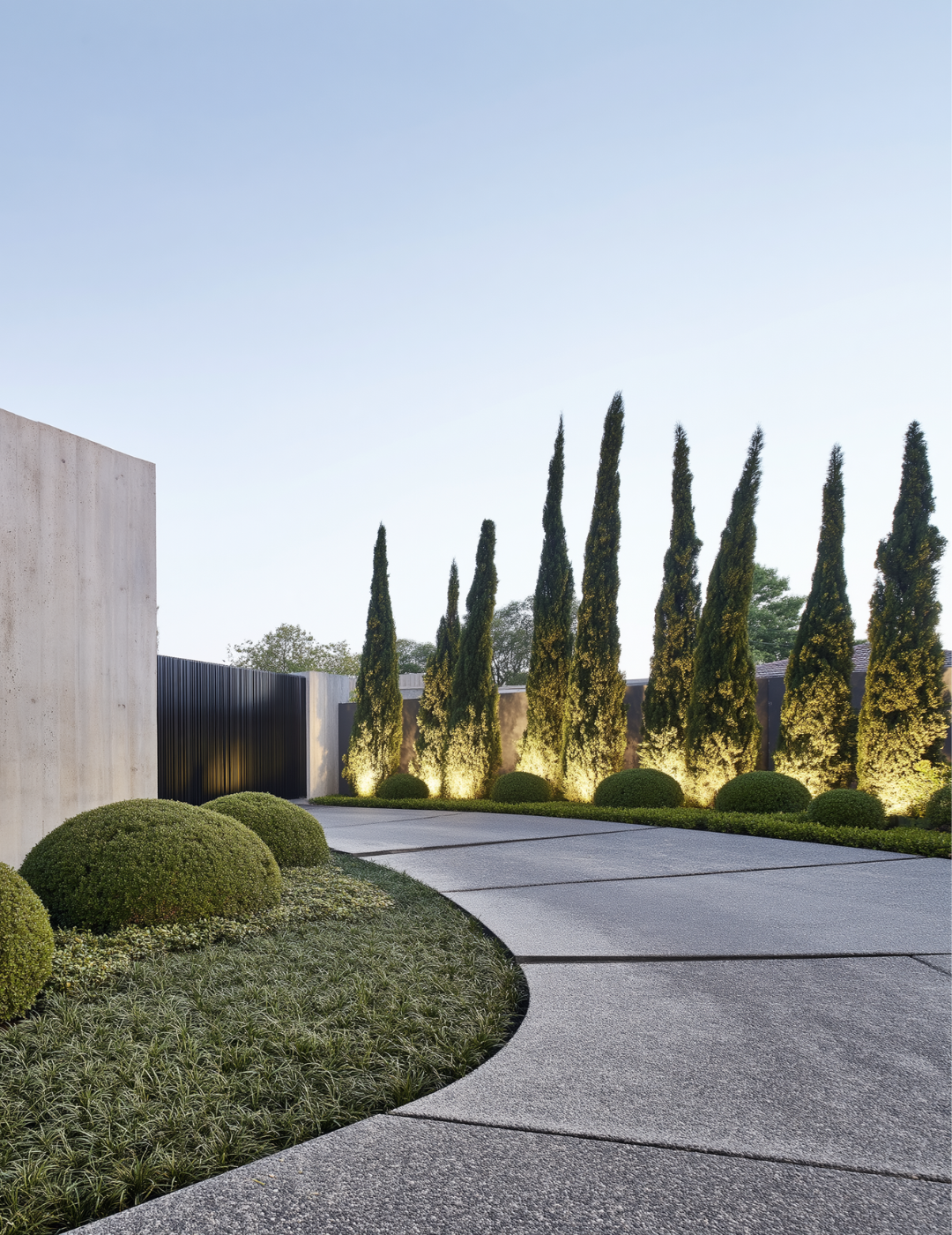 Cupressus sempervirens 'Glauca' Pencil Pine