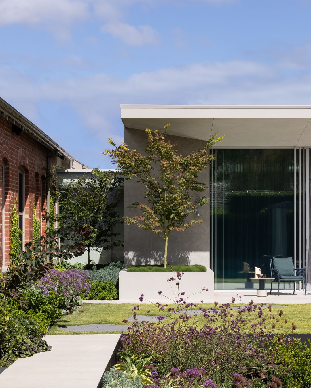 Evergreen Trees Direct