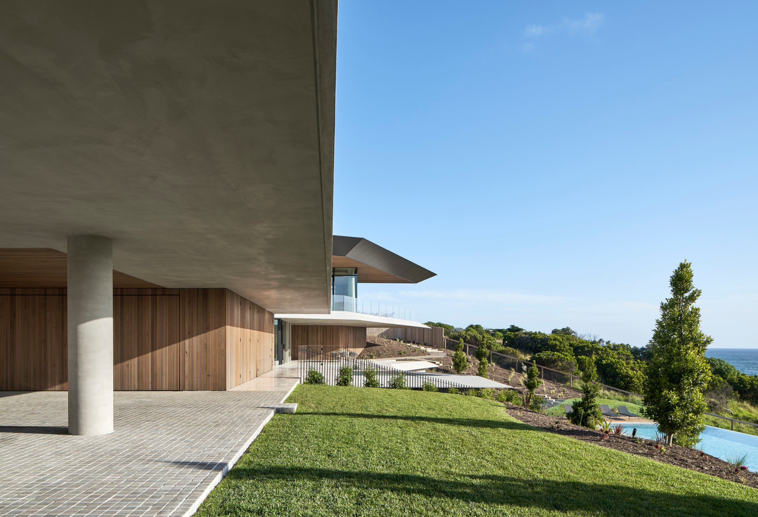 Evergreen Trees Direct