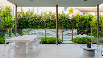 Top Trees for Frost-Resistant Winter Gardens: 6 Picks - Evergreen Trees ...