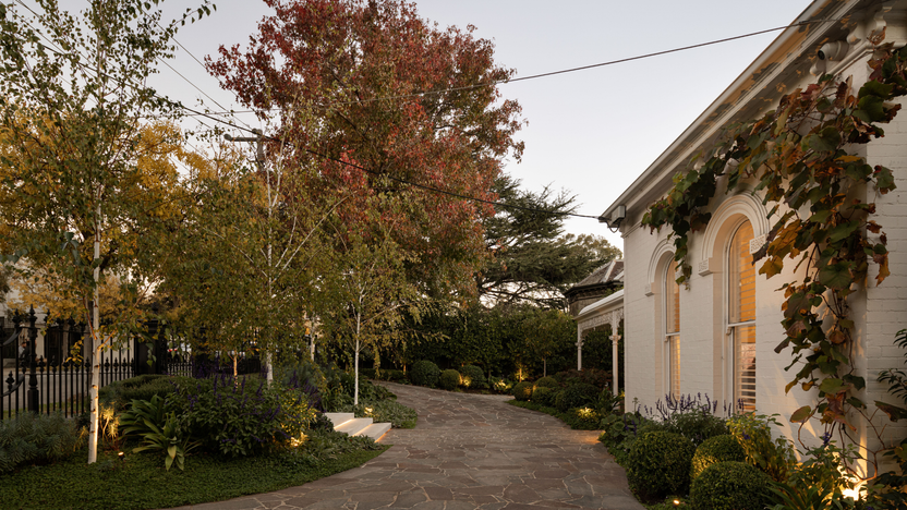 Ornamental Pear Trees: Best Varieties, Growing and Care - Evergreen ...