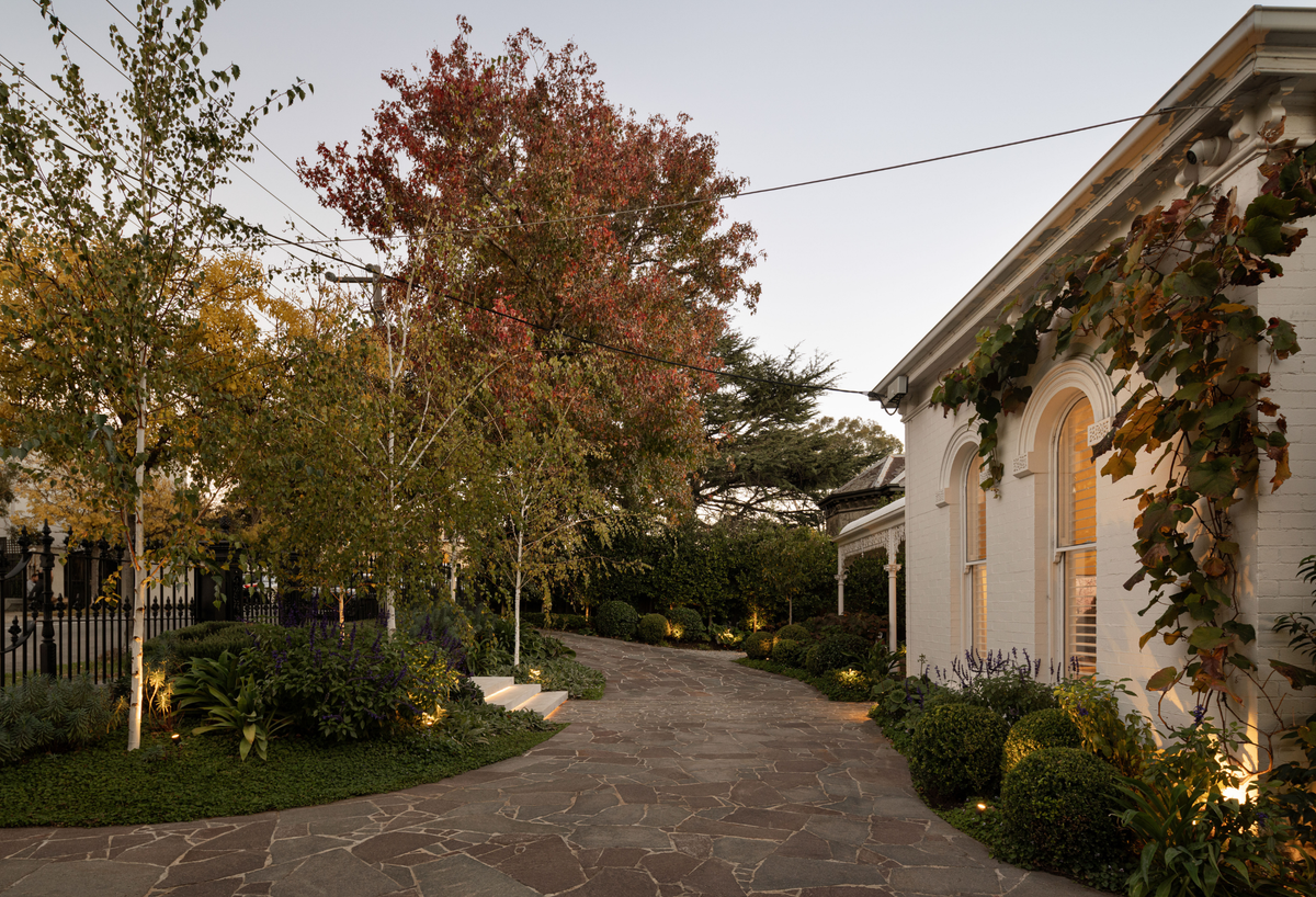Cold Resistant Trees Top Trees for Frost-Resistant Winter Gardens: 6 Picks - Evergreen Trees ...