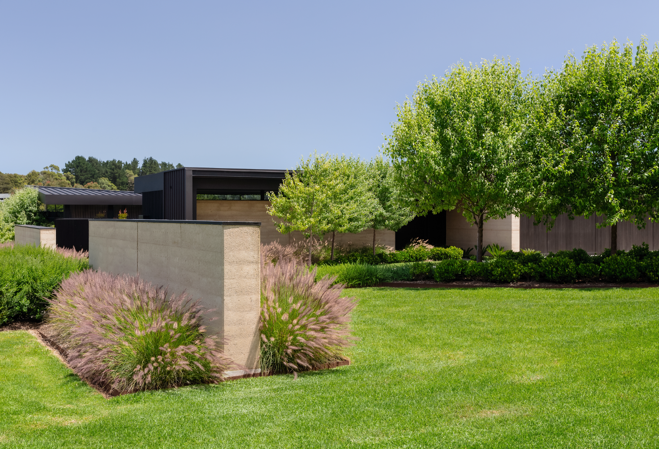 Evergreen Trees Direct