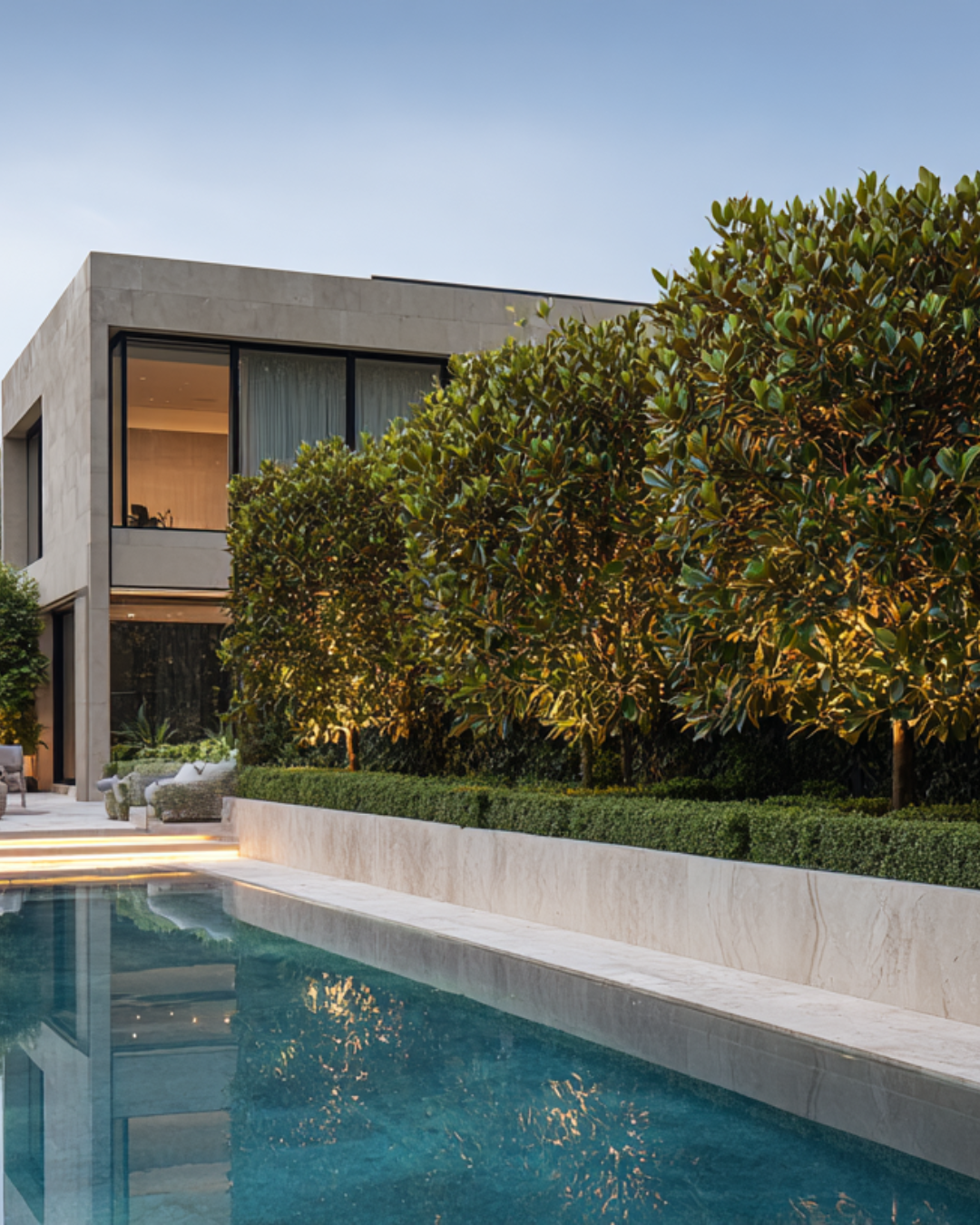 Evergreen Trees Direct