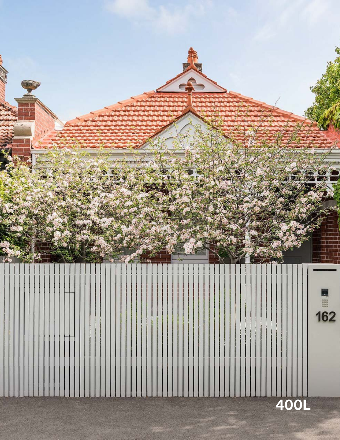 Malus ioensis 'Plena' (Crab Apple) - Evergreen Trees Direct