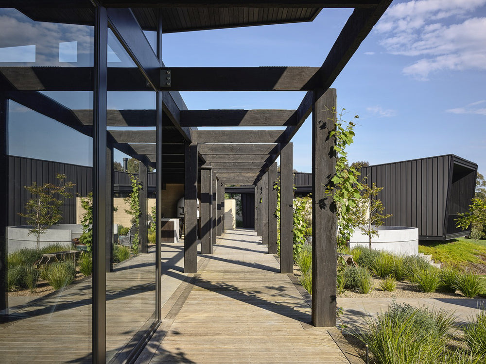 Evergreen Trees Direct