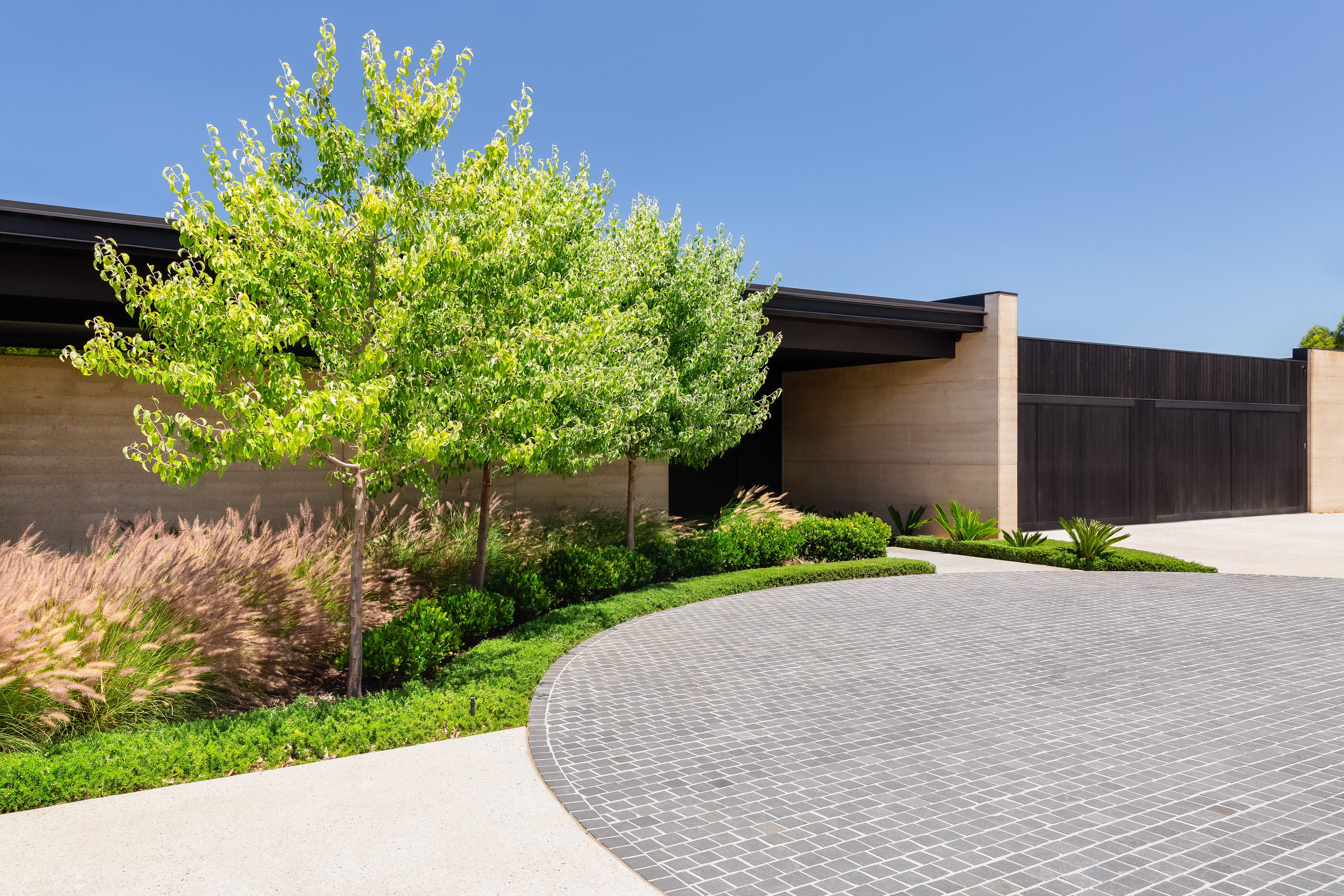 Evergreen Trees Direct