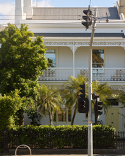 Phoenix Roebellini (Pygmy Date Palm) - Evergreen Trees Direct