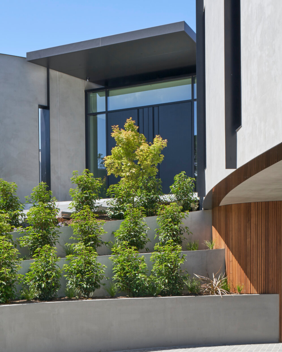 Evergreen Trees Direct