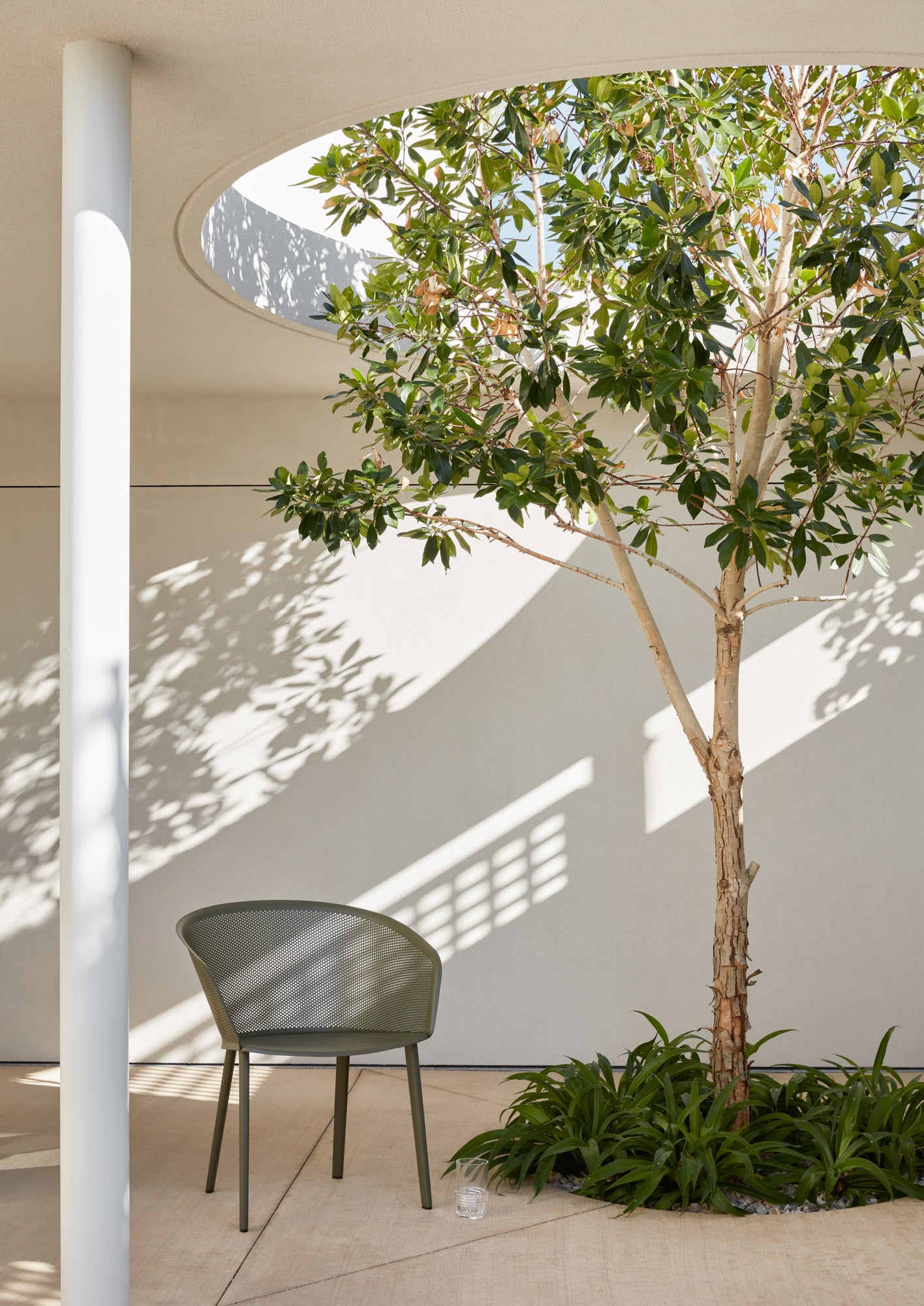 A tree in the middle of a courtyard.