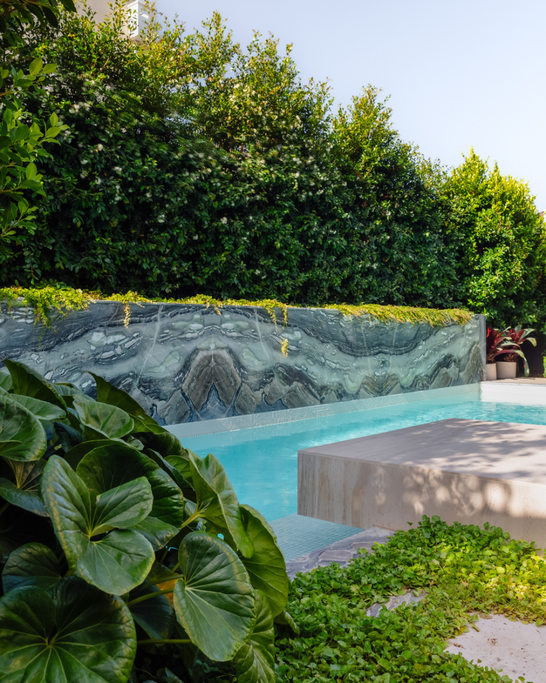 Evergreen Trees Direct