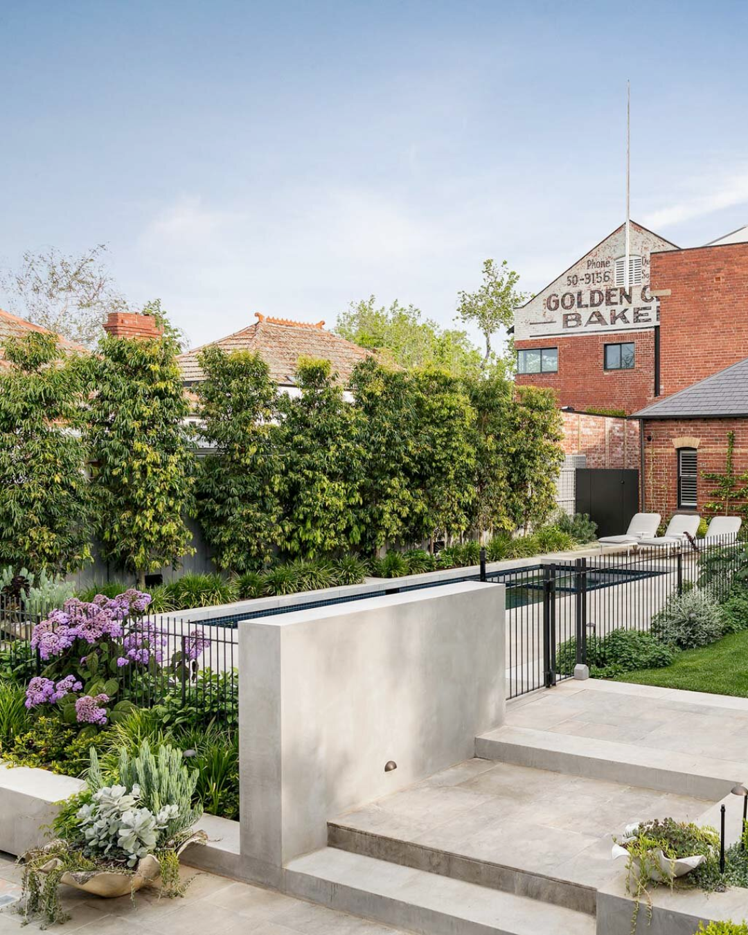 Evergreen Trees Direct