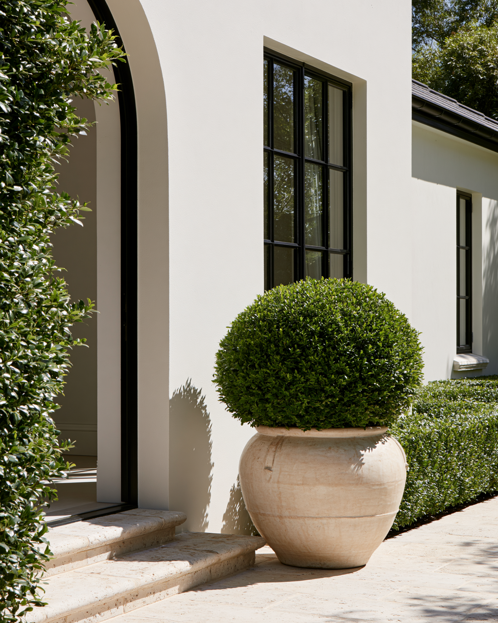 Buxus sempervirens English Box Topiary Balls