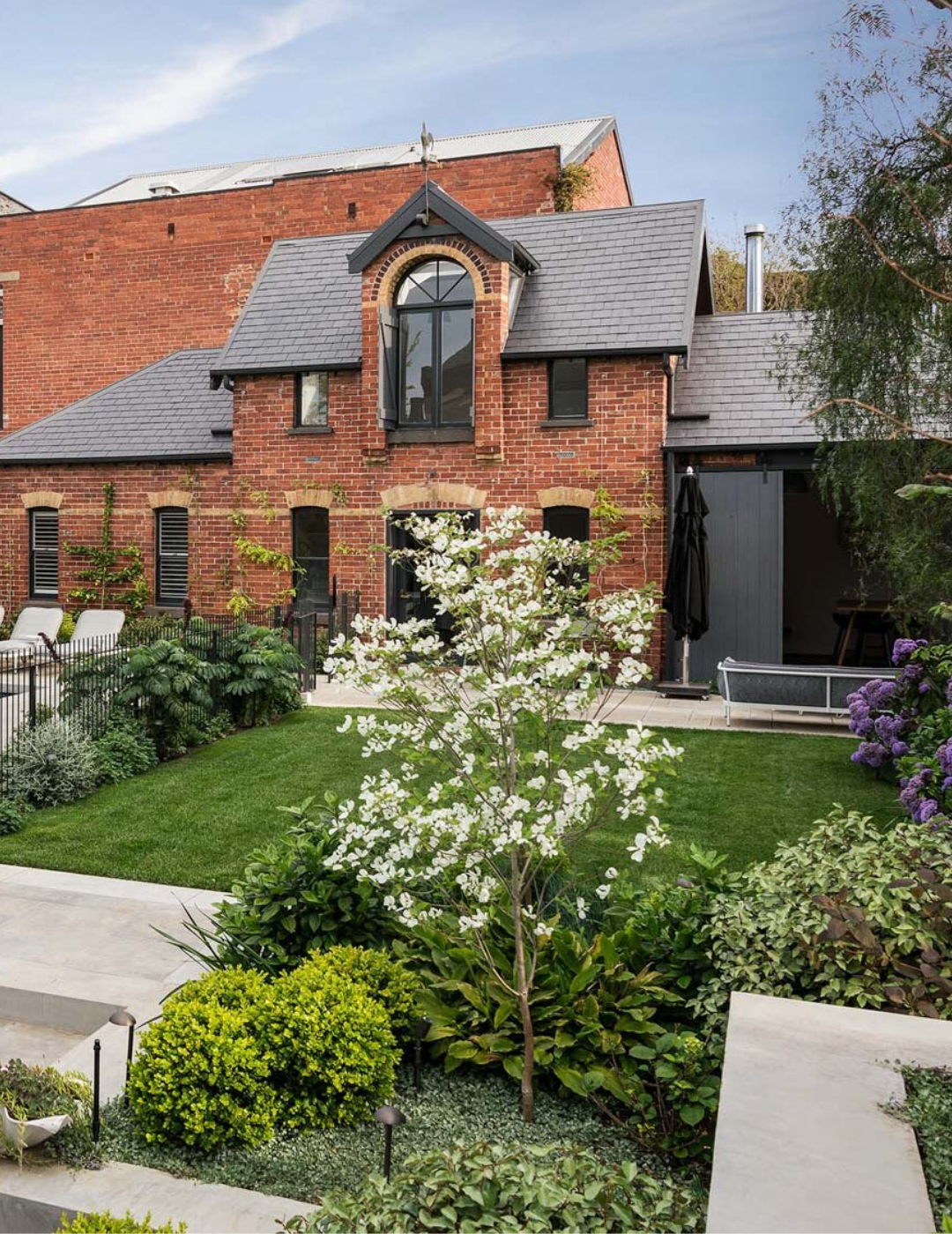 Cornus x 'Eric Gennet' (Dogwood) - Evergreen Trees Direct