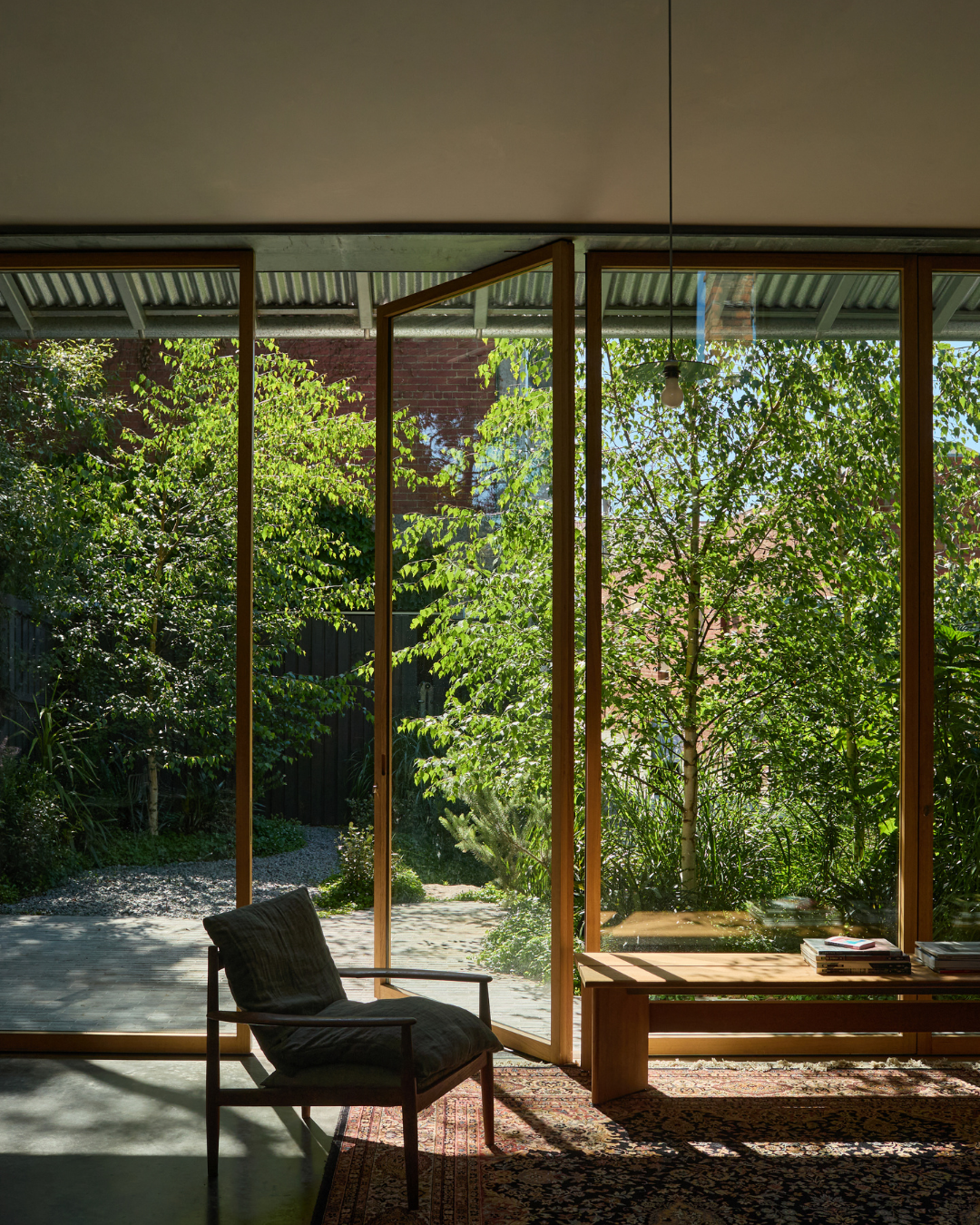 Betula pendula 'Moss White' — project image 4