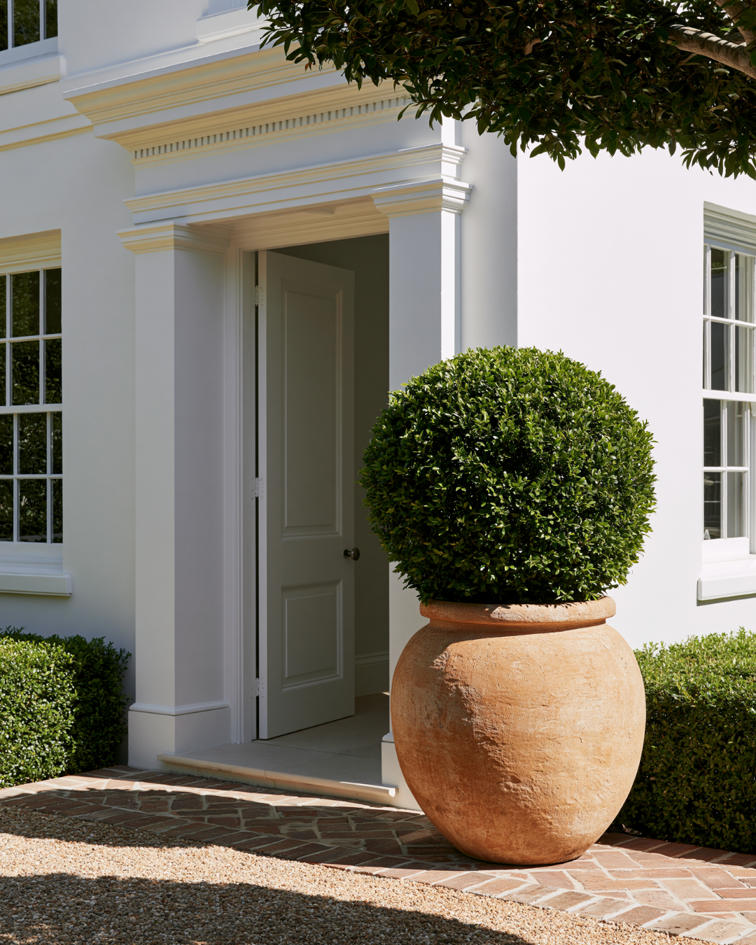 Buxus sempervirens English Box Topiary Balls — project image 2