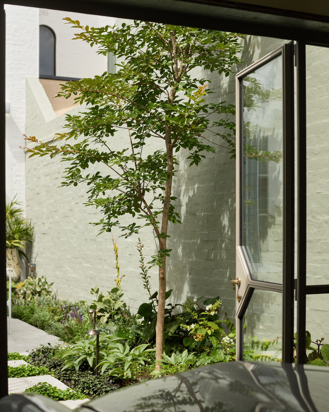 Lagerstroemia indica 'Natchez' White Crepe Myrtle — project image 2