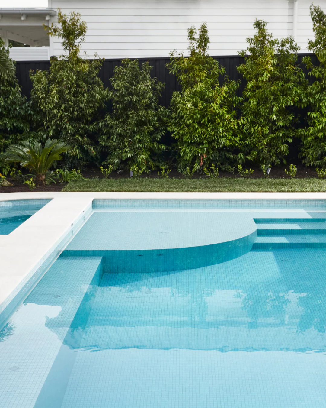 Waterhousea floribunda Weeping Lilly Pilly — project image 1