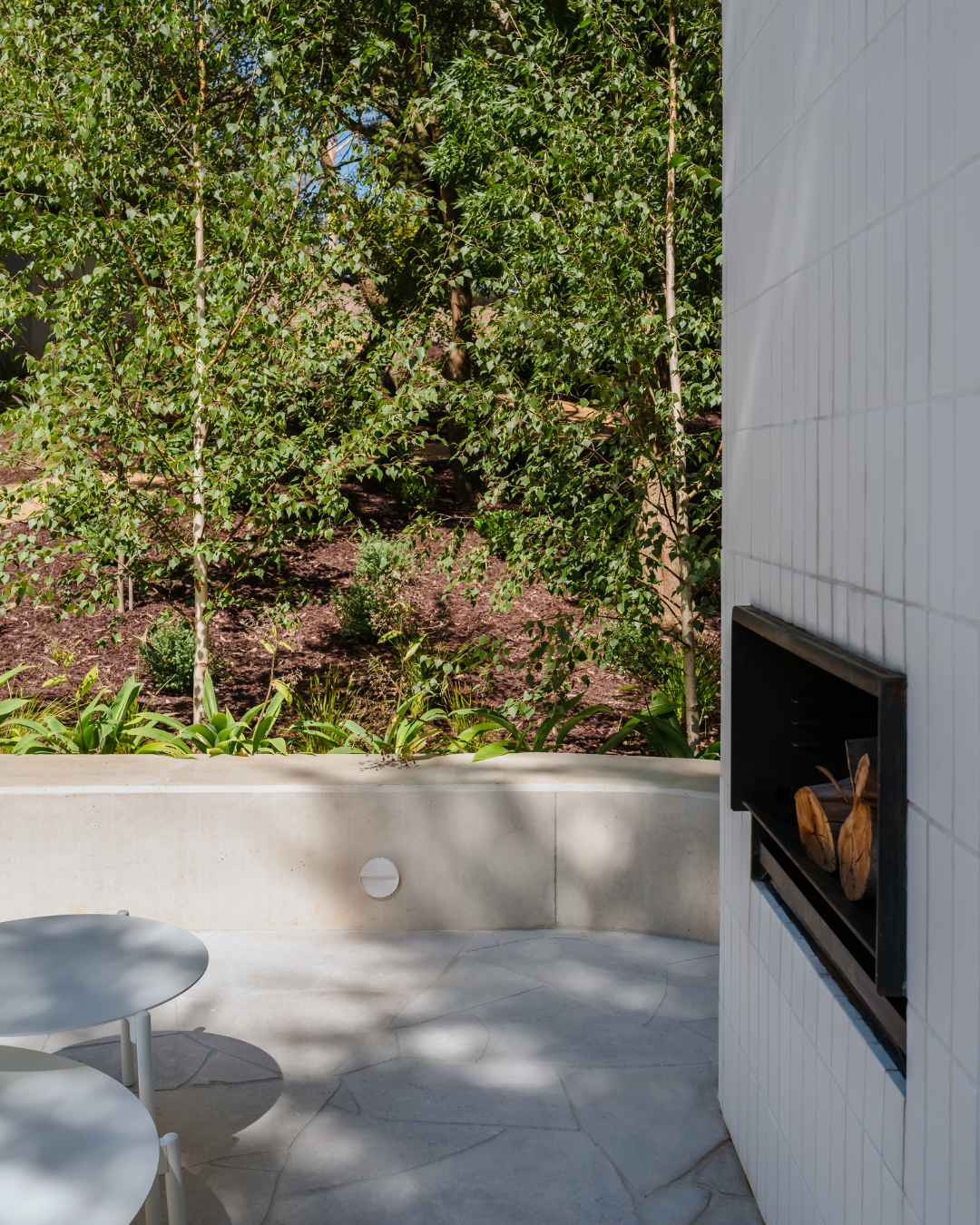 Project photo for betula pendula moss white silver birch