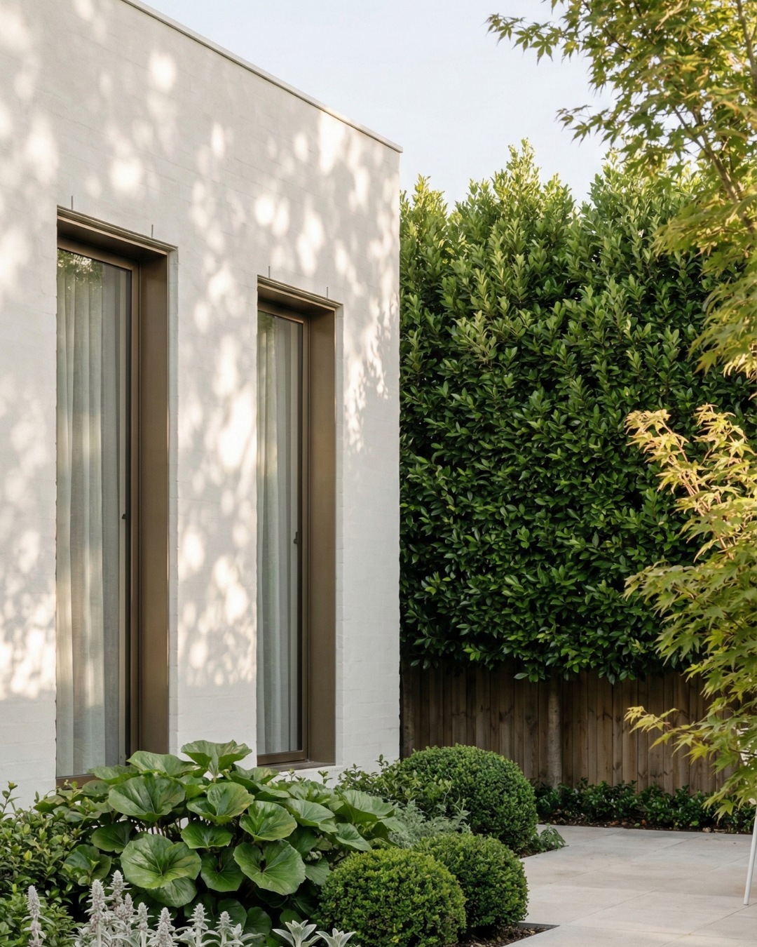 Project photo for laurus nobilis miles choice bay tree